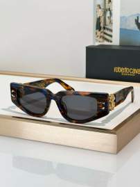 Picture of Roberto Cavalli Sunglasses _SKUfw69699344fw